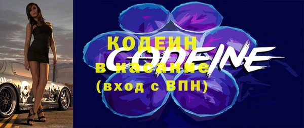 гидра Гусь-Хрустальный
