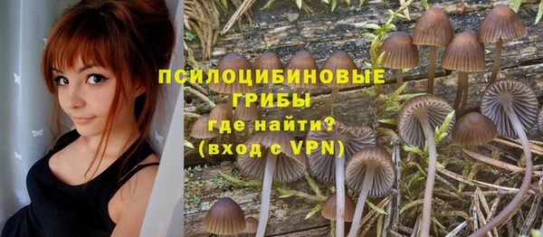 ALPHA PVP Дмитровск