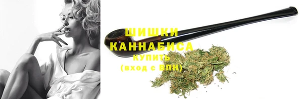 дмт Дмитриев