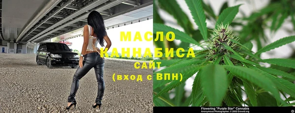 дмт Дмитриев