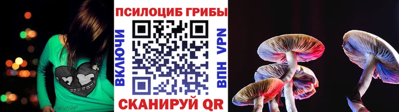 Псилоцибиновые грибы Psilocybine cubensis  Верея 